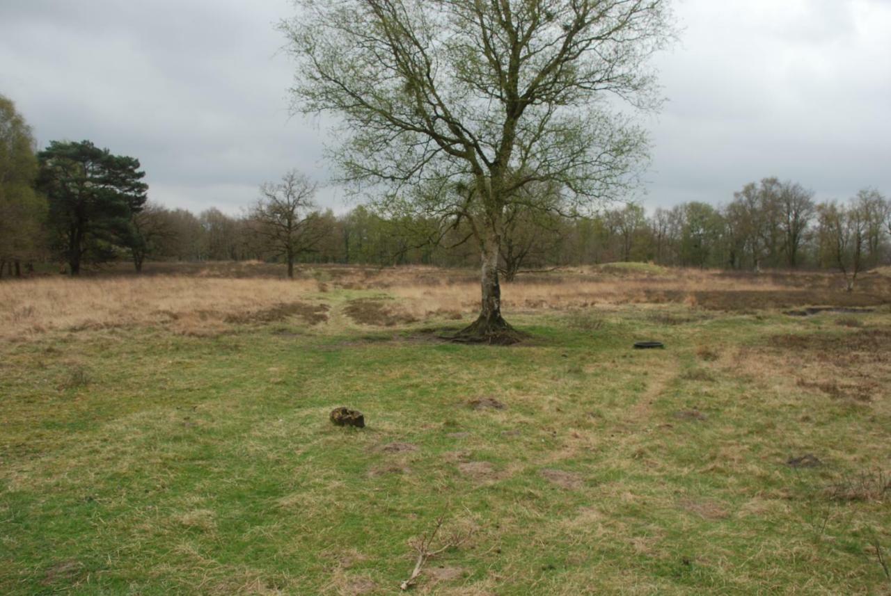 Assen-Groningen-Saunacabine Vries Exteriör bild